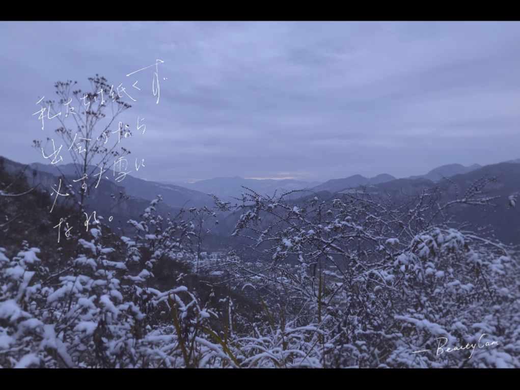 长桥跨江海 匠心筑通途