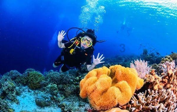 萌新水果连连看